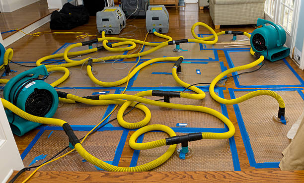 Professional Basement Flood Cleanup technician working in Lynbrook, NY
